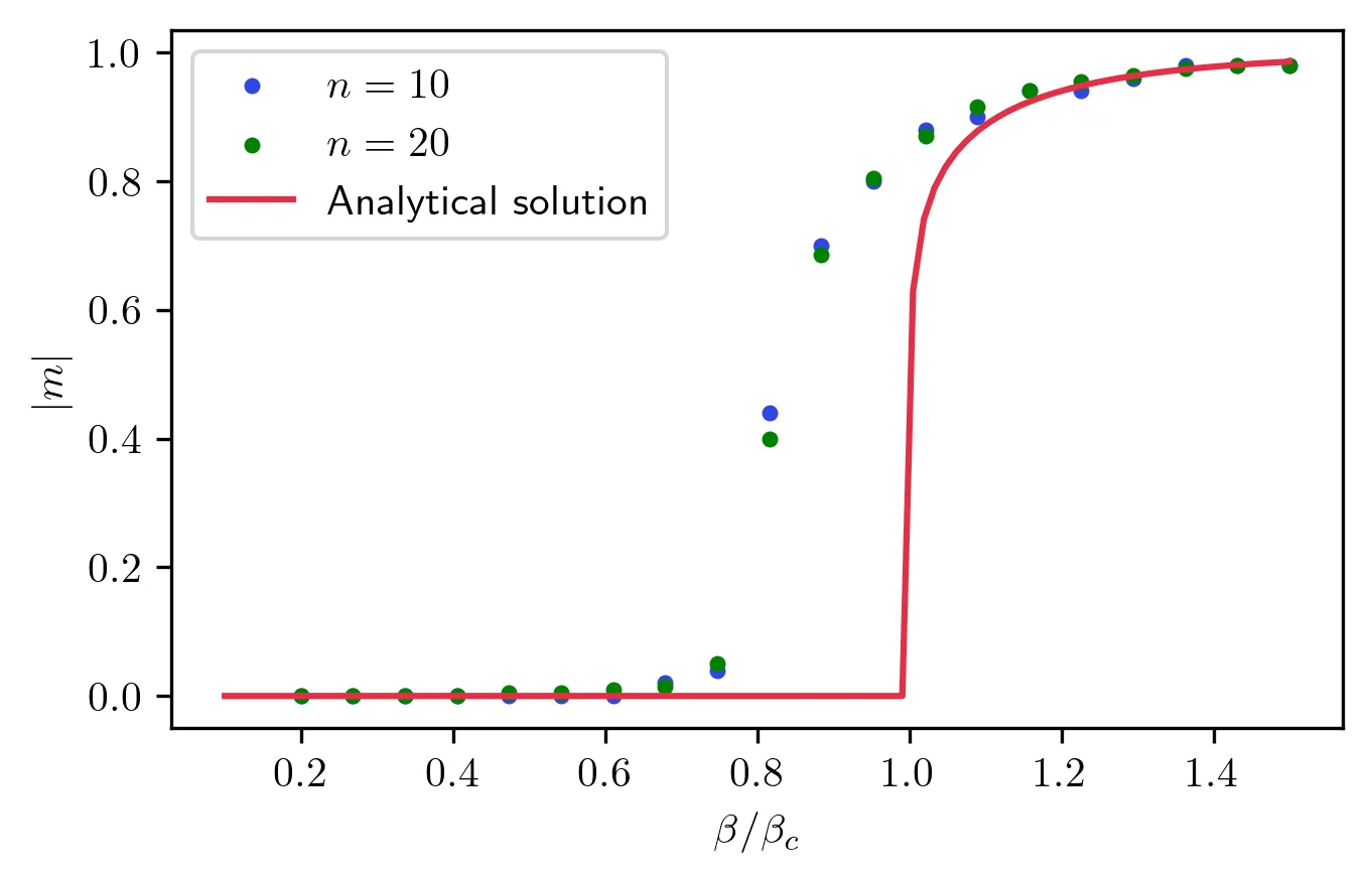 Comparison of magnetization to exact solution